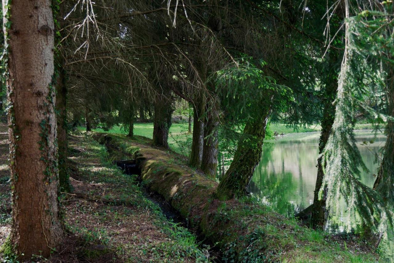 Sainte-Fortunade Manoir De Chantemerle מראה חיצוני תמונה
